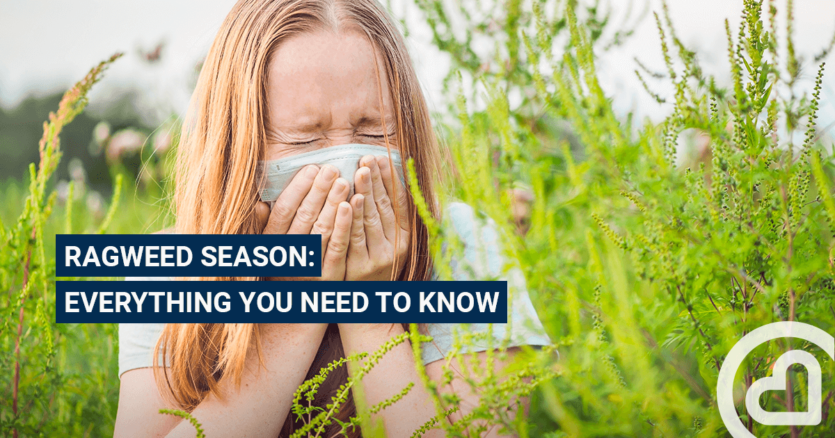 Ragweed season Familiprix