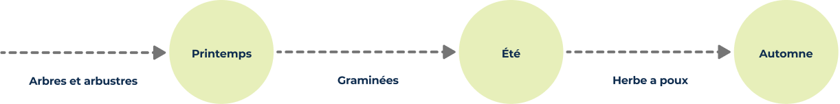 Arbres et arbustes - Printemps - Graminées - Été - Herbe à poux
