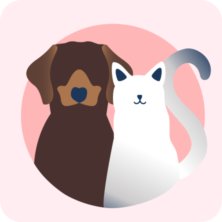 Illustration of a dog and a kitten