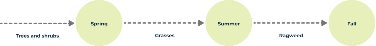 Trees and shurbs - Spring - Grasses - Summer - Ragweed