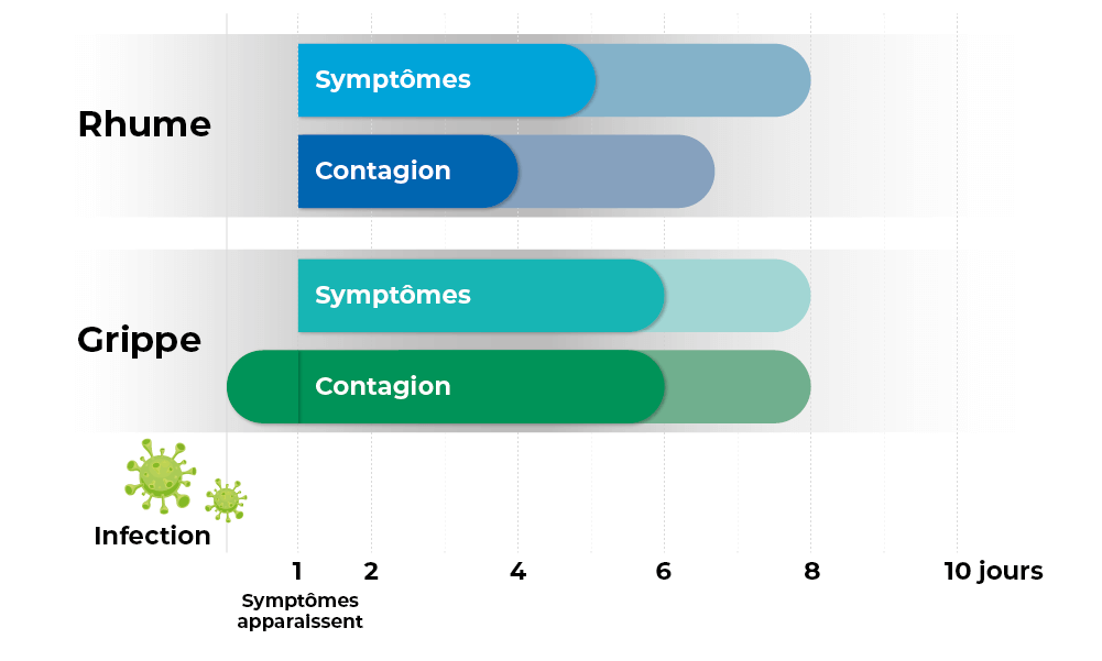 Tableau symptôme rhume ou grippe